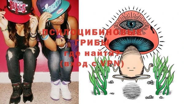синтетический гашиш Новодвинск