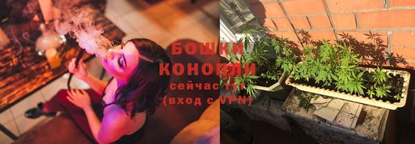СК Козловка
