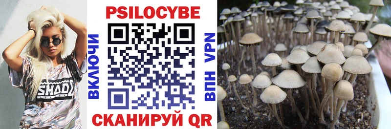 Псилоцибиновые грибы GOLDEN TEACHER  как найти   Шуя 