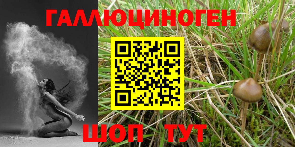 Галлюциногенные грибы прущие грибы Шуя